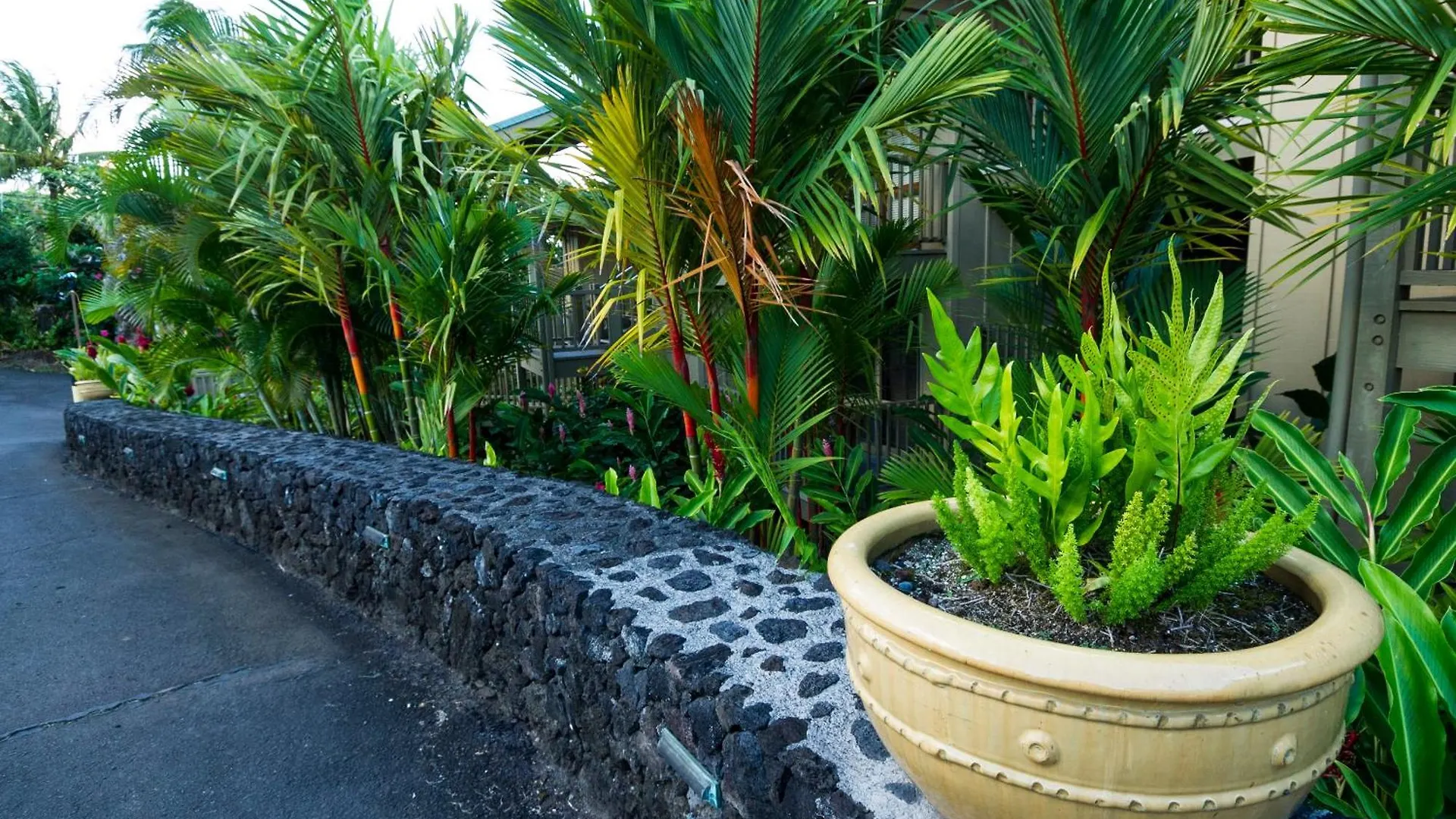 Hana Kai Maui - #1 Waikaloa Oceanfront 1Br Apartment